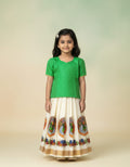 Pattupavada Blouse - MN1