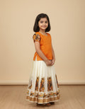 Pattupavada Blouse - MN3